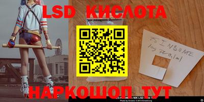 индика Лесосибирск