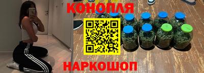 индика Лесосибирск
