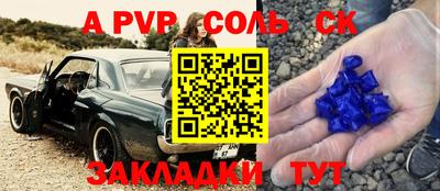 индика Лесосибирск